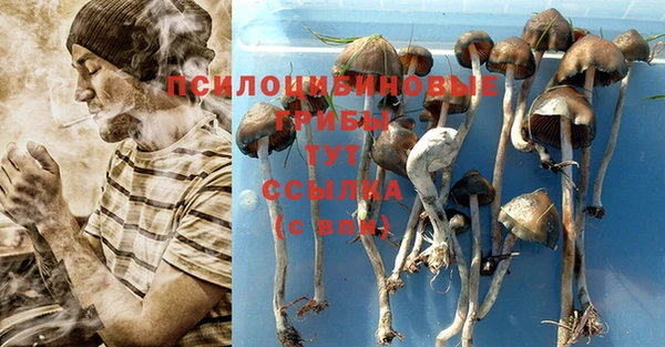 соль курить ск Надым