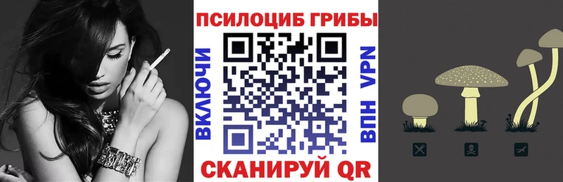 гидра сайт  Макаров  Псилоцибиновые грибы Psilocybe 